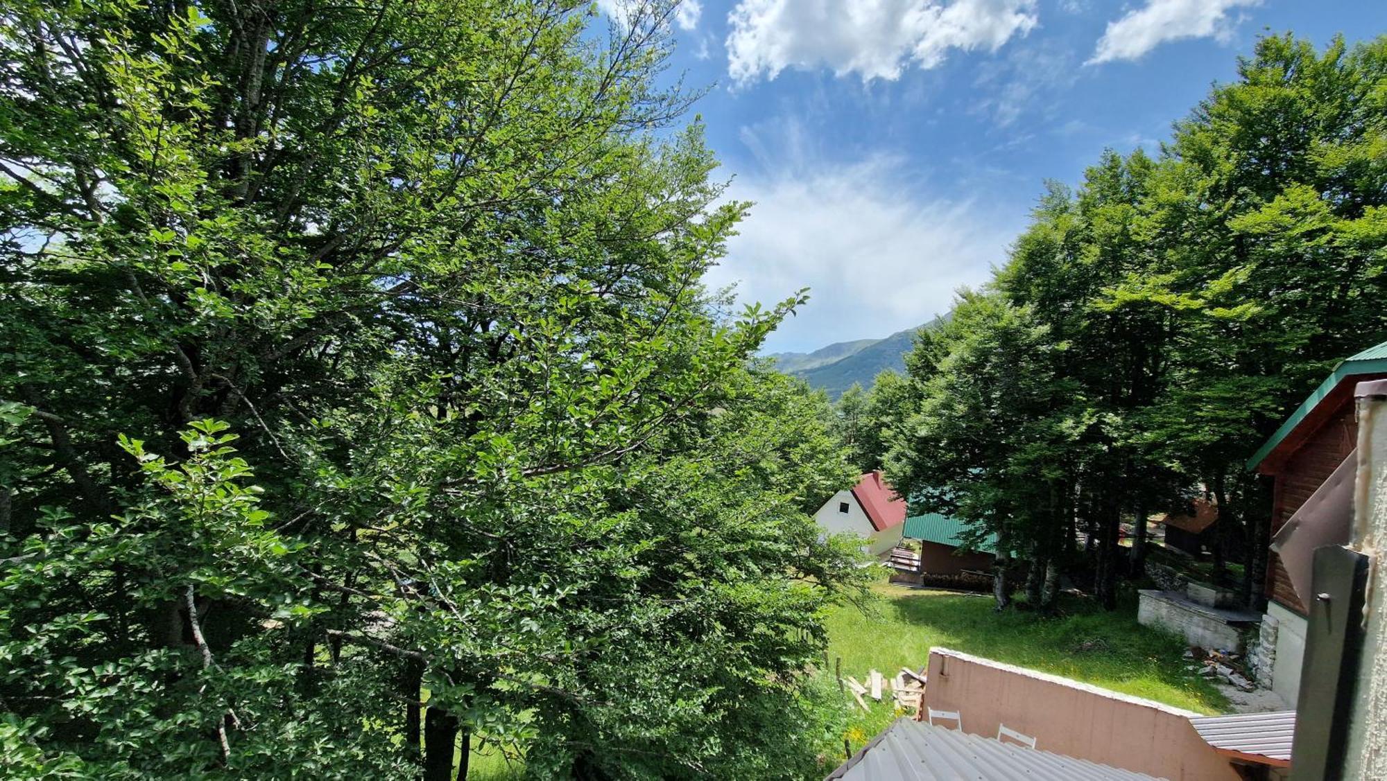 Gorska Vila Apartments Žabljak Zimmer foto