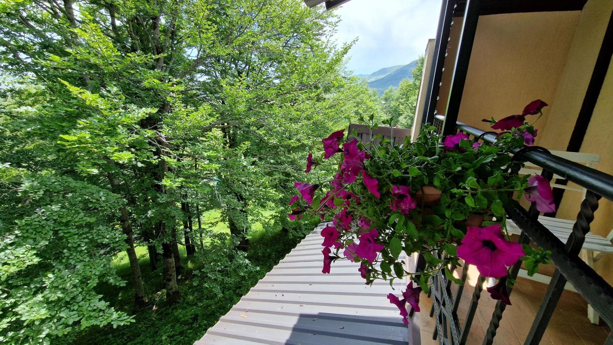 Gorska Vila Apartments Žabljak Zimmer foto